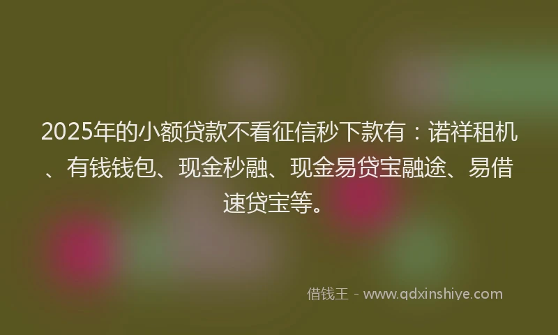 2025年的小额贷款不看征信秒下款有：诺祥租机、有钱钱包、现金秒融、现金易贷宝融途、易借速贷宝等。