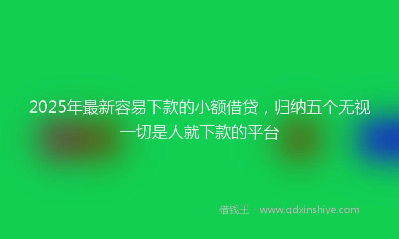 2025年最新容易下款的小额借贷，归纳五个无视一切是人就下款的平台