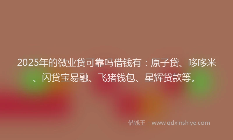 2025年的微业贷可靠吗借钱有：原子贷、哆哆米、闪贷宝易融、飞猪钱包、星辉贷款等。