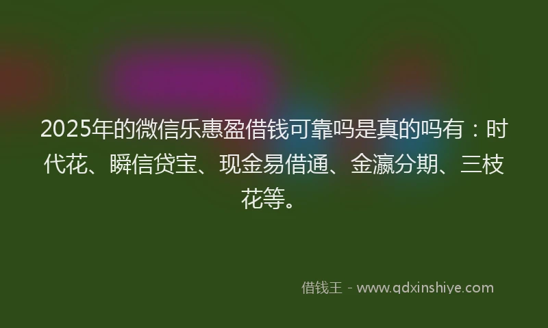 2025年的微信乐惠盈借钱可靠吗是真的吗有：时代花、瞬信贷宝、现金易借通、金瀛分期、三枝花等。