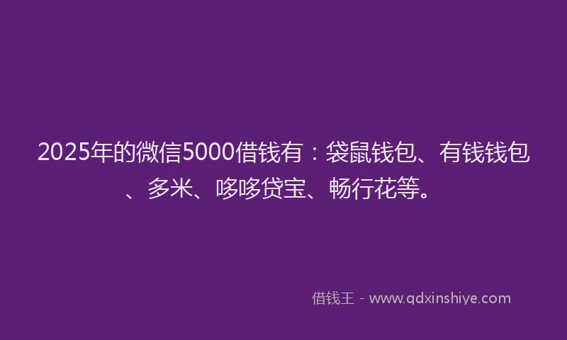 2025年的微信5000借钱有：袋鼠钱包、有钱钱包、多米、哆哆贷宝、畅行花等。