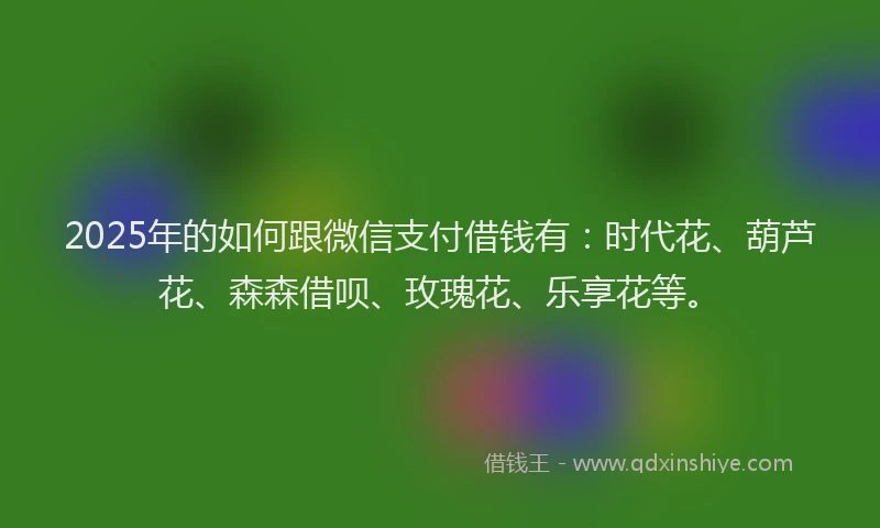 2025年的如何跟微信支付借钱有：时代花、葫芦花、森森借呗、玫瑰花、乐享花等。