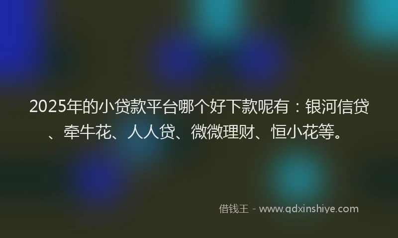2025年的小贷款平台哪个好下款呢有：银河信贷、牵牛花、人人贷、微微理财、恒小花等。