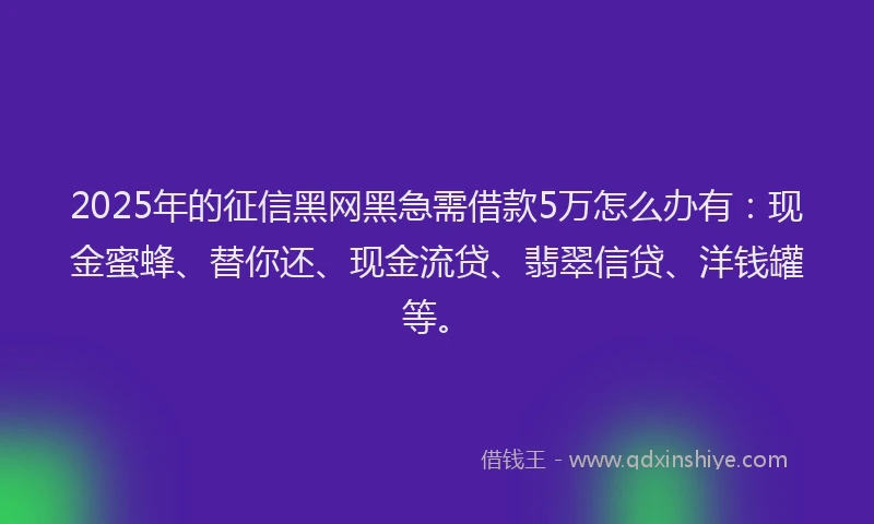 2025年的征信黑网黑急需借款5万怎么办有：现金蜜蜂、替你还、现金流贷、翡翠信贷、洋钱罐等。