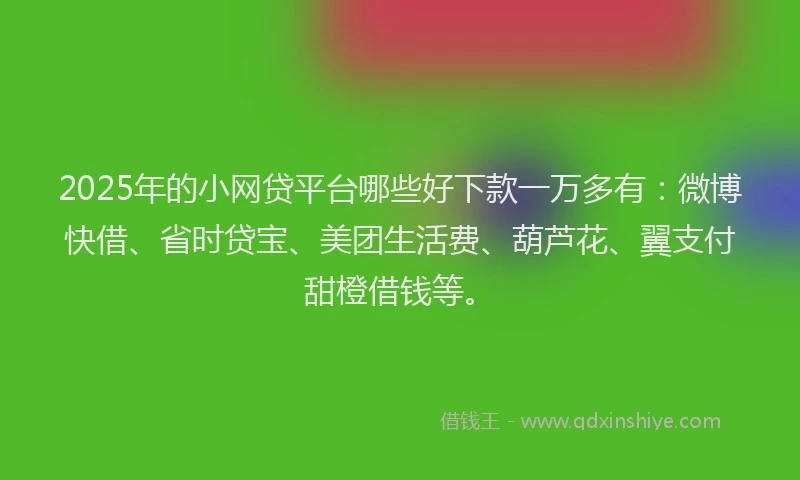 2025年的小网贷平台哪些好下款一万多有：微博快借、省时贷宝、美团生活费、葫芦花、翼支付甜橙借钱等。