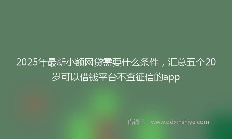 2025年最新小额网贷需要什么条件，汇总五个20岁可以借钱平台不查征信的app