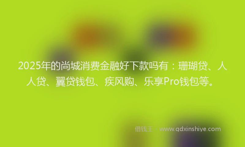 2025年的尚城消费金融好下款吗有：珊瑚贷、人人贷、翼贷钱包、疾风购、乐享Pro钱包等。