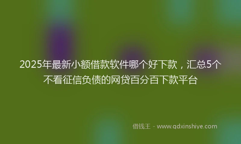 2025年最新小额借款软件哪个好下款，汇总5个不看征信负债的网贷百分百下款平台