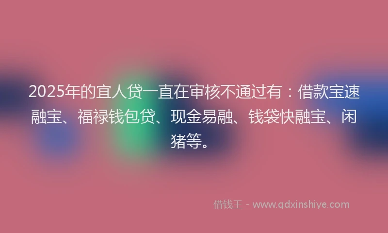 2025年的宜人贷一直在审核不通过有：借款宝速融宝、福禄钱包贷、现金易融、钱袋快融宝、闲猪等。