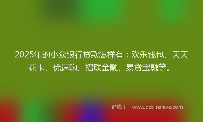 2025年的小众银行贷款怎样有：欢乐钱包、天天花卡、优速购、招联金融、易贷宝融等。