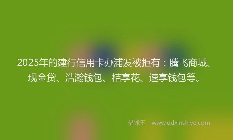 2025年的建行信用卡办浦发被拒有：腾飞商城、现金贷、浩瀚钱包、桔享花、速享钱包等。