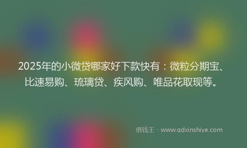 2025年的小微贷哪家好下款快有：微粒分期宝、比速易购、琉璃贷、疾风购、唯品花取现等。