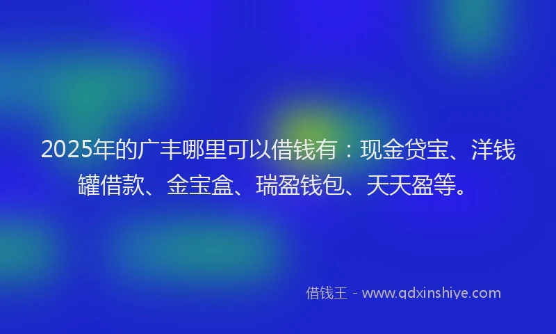 2025年的广丰哪里可以借钱有：现金贷宝、洋钱罐借款、金宝盒、瑞盈钱包、天天盈等。