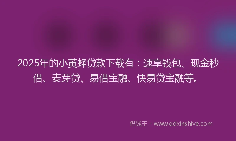 2025年的小黄蜂贷款下载有：速享钱包、现金秒借、麦芽贷、易借宝融、快易贷宝融等。