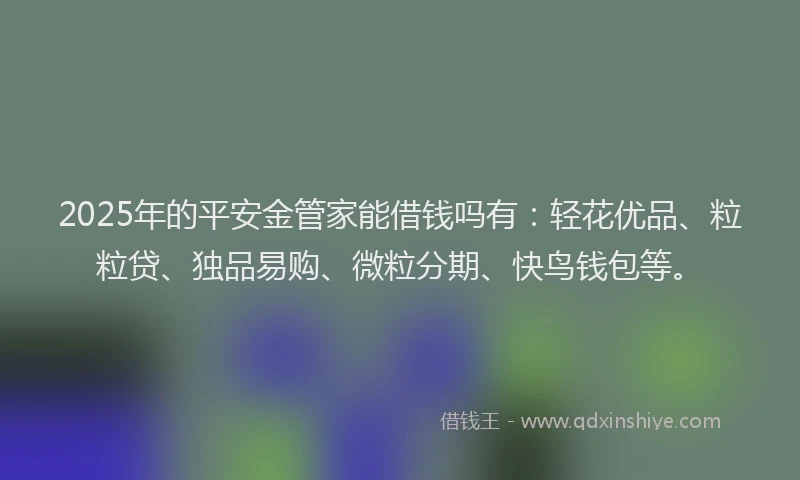 2025年的平安金管家能借钱吗有：轻花优品、粒粒贷、独品易购、微粒分期、快鸟钱包等。
