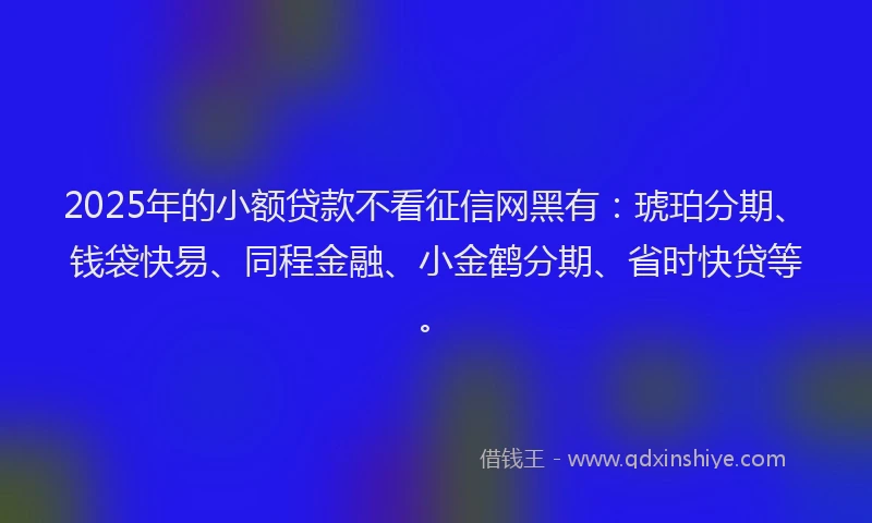 2025年的小额贷款不看征信网黑有：琥珀分期、钱袋快易、同程金融、小金鹤分期、省时快贷等。