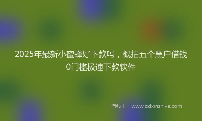 2025年最新小蜜蜂好下款吗，概括五个黑户借钱0门槛极速下款软件