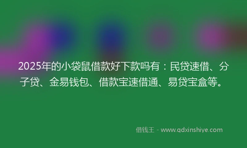 2025年的小袋鼠借款好下款吗有：民贷速借、分子贷、金易钱包、借款宝速借通、易贷宝盒等。