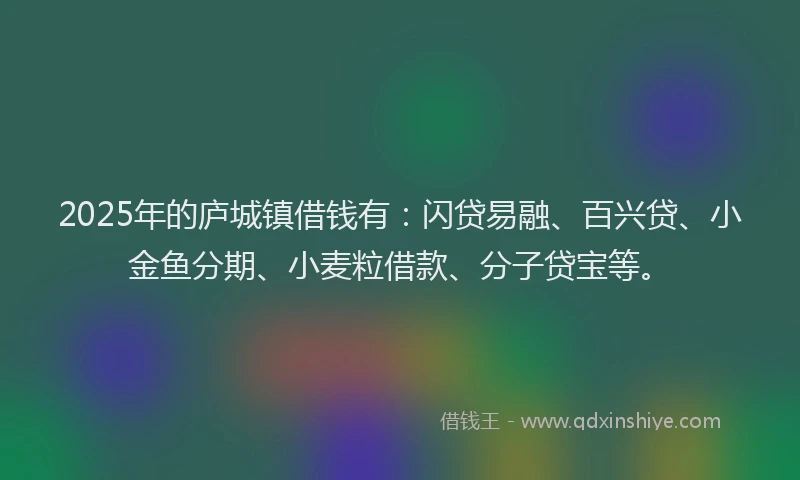 2025年的庐城镇借钱有：闪贷易融、百兴贷、小金鱼分期、小麦粒借款、分子贷宝等。