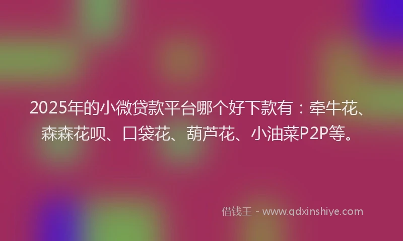 2025年的小微贷款平台哪个好下款有：牵牛花、森森花呗、口袋花、葫芦花、小油菜P2P等。