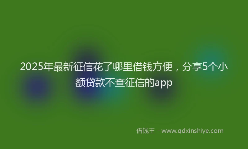 2025年最新征信花了哪里借钱方便，分享5个小额贷款不查征信的app