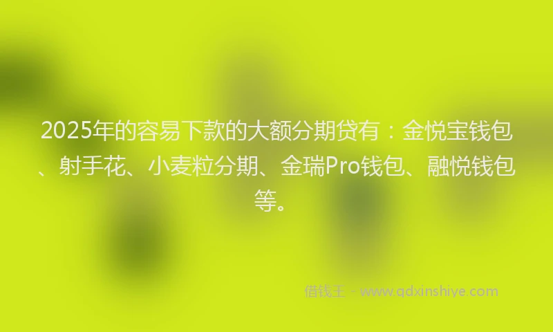 2025年的容易下款的大额分期贷有：金悦宝钱包、射手花、小麦粒分期、金瑞Pro钱包、融悦钱包等。