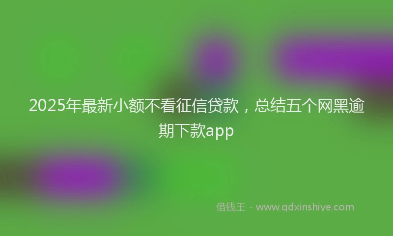 2025年最新小额不看征信贷款，总结五个网黑逾期下款app