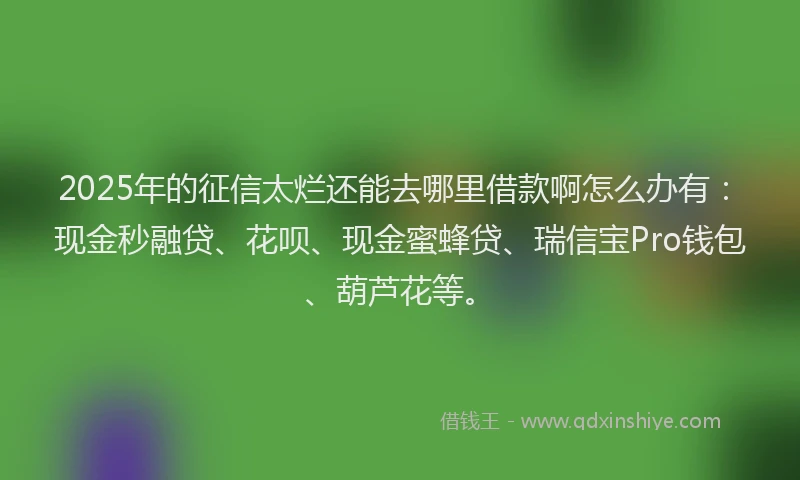 2025年的征信太烂还能去哪里借款啊怎么办有：现金秒融贷、花呗、现金蜜蜂贷、瑞信宝Pro钱包、葫芦花等。