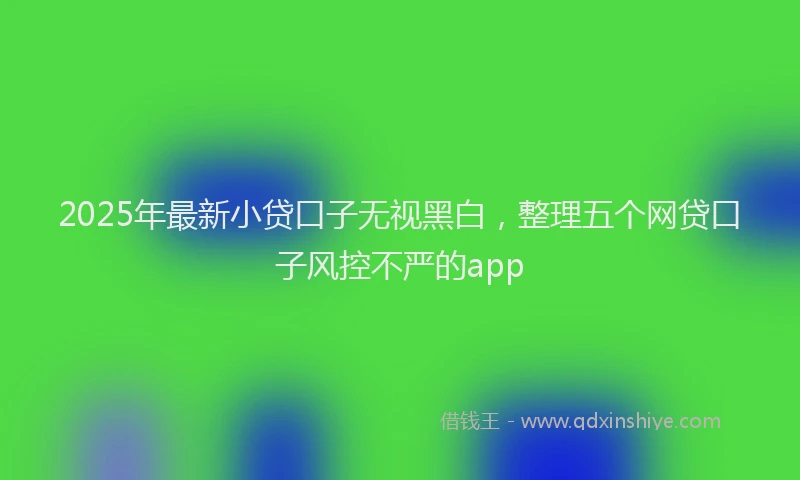 2025年最新小贷口子无视黑白，整理五个网贷口子风控不严的app