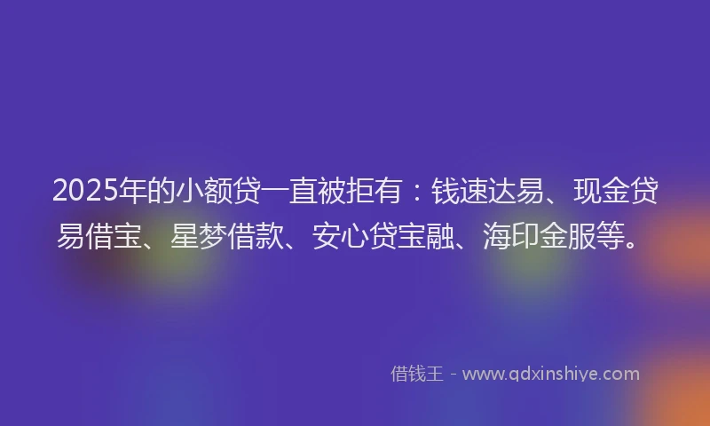 2025年的小额贷一直被拒有：钱速达易、现金贷易借宝、星梦借款、安心贷宝融、海印金服等。