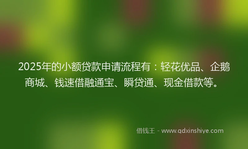 2025年的小额贷款申请流程有：轻花优品、企鹅商城、钱速借融通宝、瞬贷通、现金借款等。
