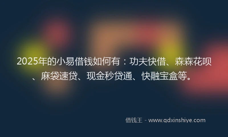 2025年的小易借钱如何有：功夫快借、森森花呗、麻袋速贷、现金秒贷通、快融宝盒等。