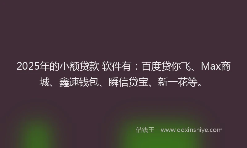2025年的小额贷款 软件有：百度贷你飞、Max商城、鑫速钱包、瞬信贷宝、新一花等。