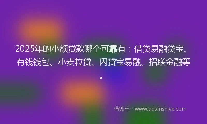 2025年的小额贷款哪个可靠有：借贷易融贷宝、有钱钱包、小麦粒贷、闪贷宝易融、招联金融等。