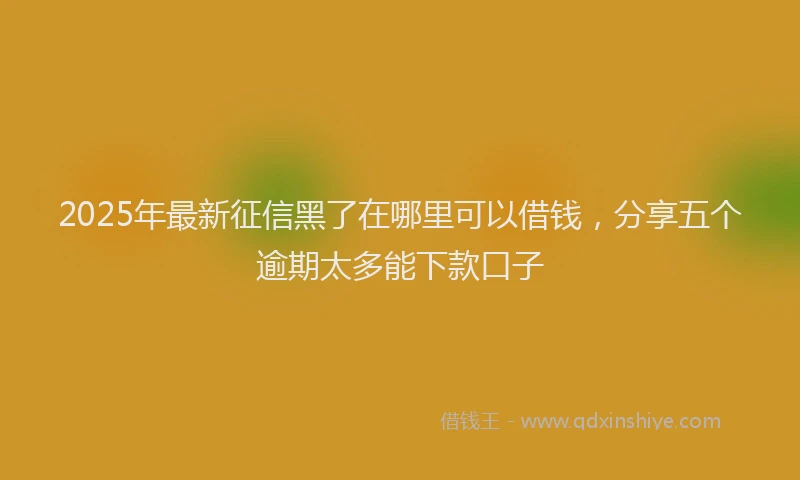 2025年最新征信黑了在哪里可以借钱，分享五个逾期太多能下款口子