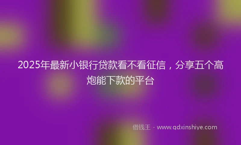 2025年最新小银行贷款看不看征信，分享五个高炮能下款的平台