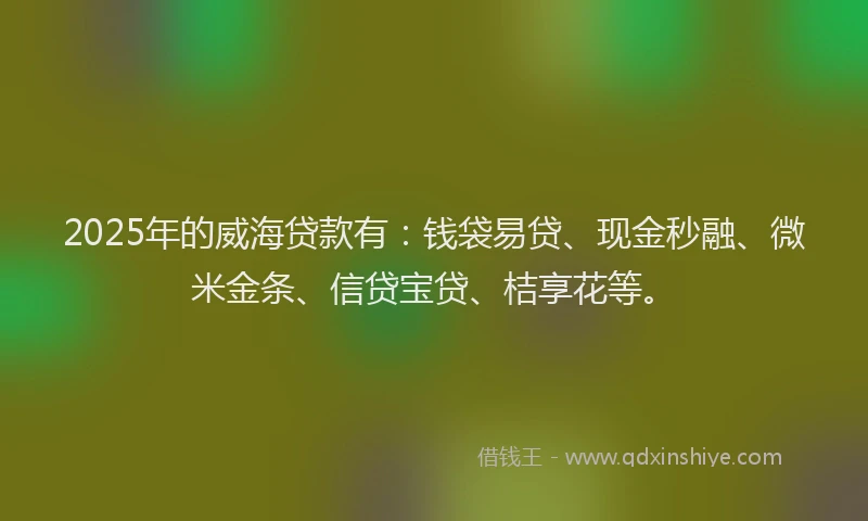 2025年的威海贷款有：钱袋易贷、现金秒融、微米金条、信贷宝贷、桔享花等。