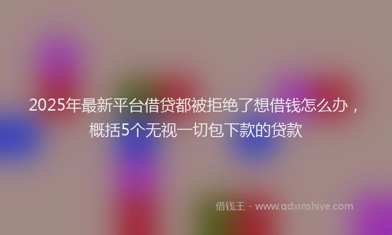 2025年最新平台借贷都被拒绝了想借钱怎么办，概括5个无视一切包下款的贷款