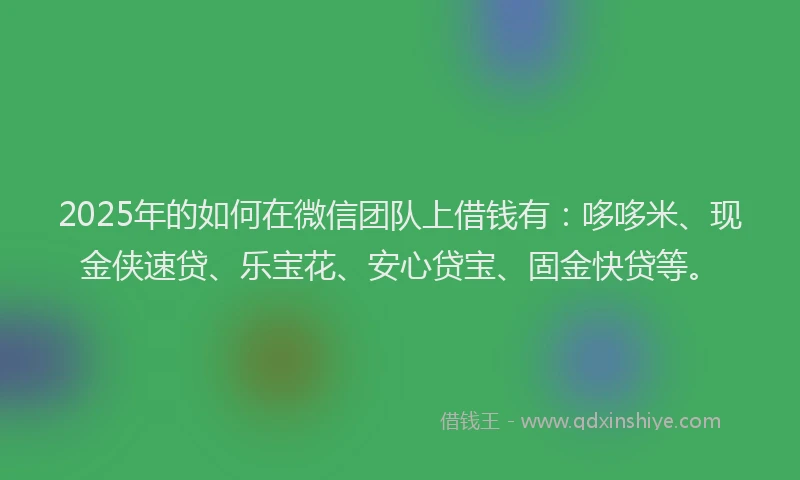 2025年的如何在微信团队上借钱有：哆哆米、现金侠速贷、乐宝花、安心贷宝、固金快贷等。