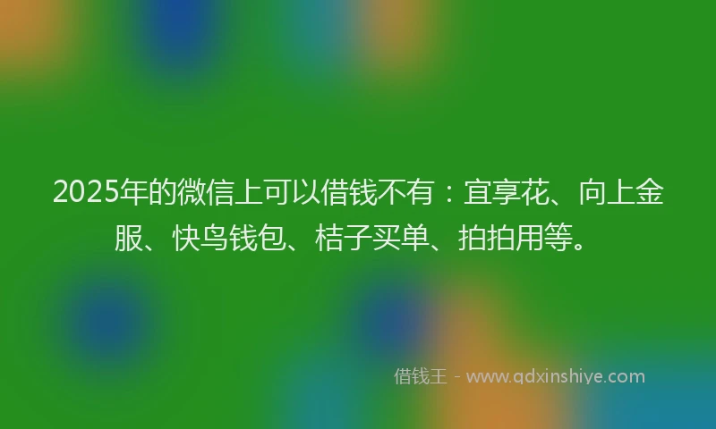 2025年的微信上可以借钱不有：宜享花、向上金服、快鸟钱包、桔子买单、拍拍用等。