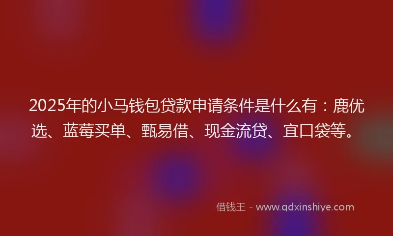 2025年的小马钱包贷款申请条件是什么有：鹿优选、蓝莓买单、甄易借、现金流贷、宜口袋等。