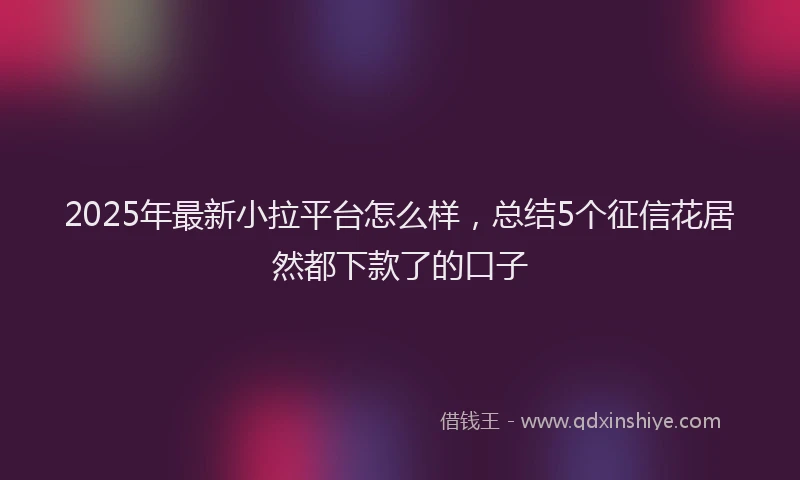 2025年最新小拉平台怎么样，总结5个征信花居然都下款了的口子