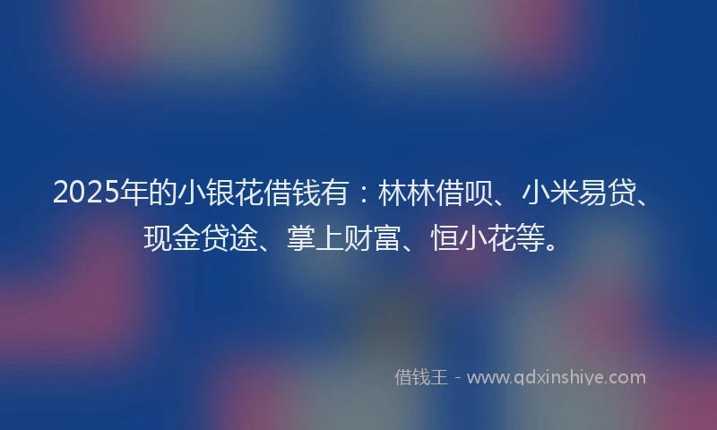 2025年的小银花借钱有：林林借呗、小米易贷、现金贷途、掌上财富、恒小花等。