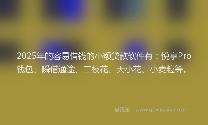 2025年的容易借钱的小额贷款软件有：悦享Pro钱包、瞬借通途、三枝花、天小花、小麦粒等。