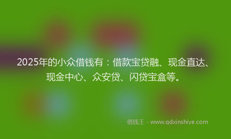 2025年的小众借钱有：借款宝贷融、现金直达、现金中心、众安贷、闪贷宝盒等。