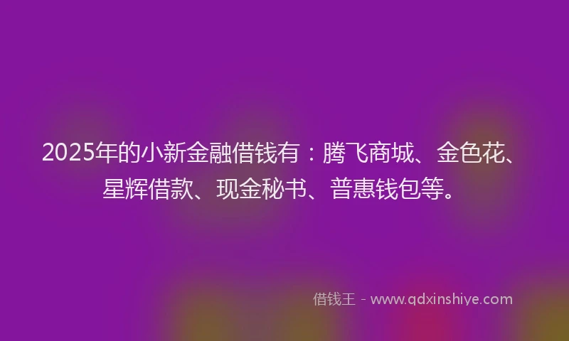 2025年的小新金融借钱有：腾飞商城、金色花、星辉借款、现金秘书、普惠钱包等。