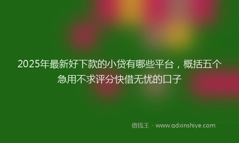 2025年最新好下款的小贷有哪些平台，概括五个急用不求评分快借无忧的口子