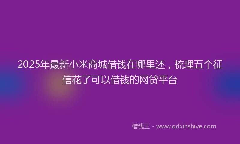 2025年最新小米商城借钱在哪里还，梳理五个征信花了可以借钱的网贷平台