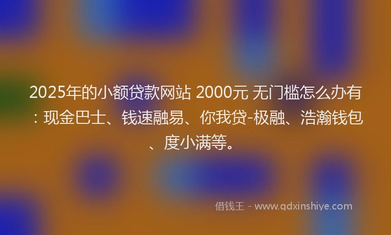 2025年的小额贷款网站 2000元 无门槛怎么办有：现金巴士、钱速融易、你我贷-极融、浩瀚钱包、度小满等。