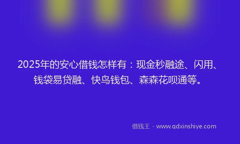 2025年的安心借钱怎样有：现金秒融途、闪用、钱袋易贷融、快鸟钱包、森森花呗通等。